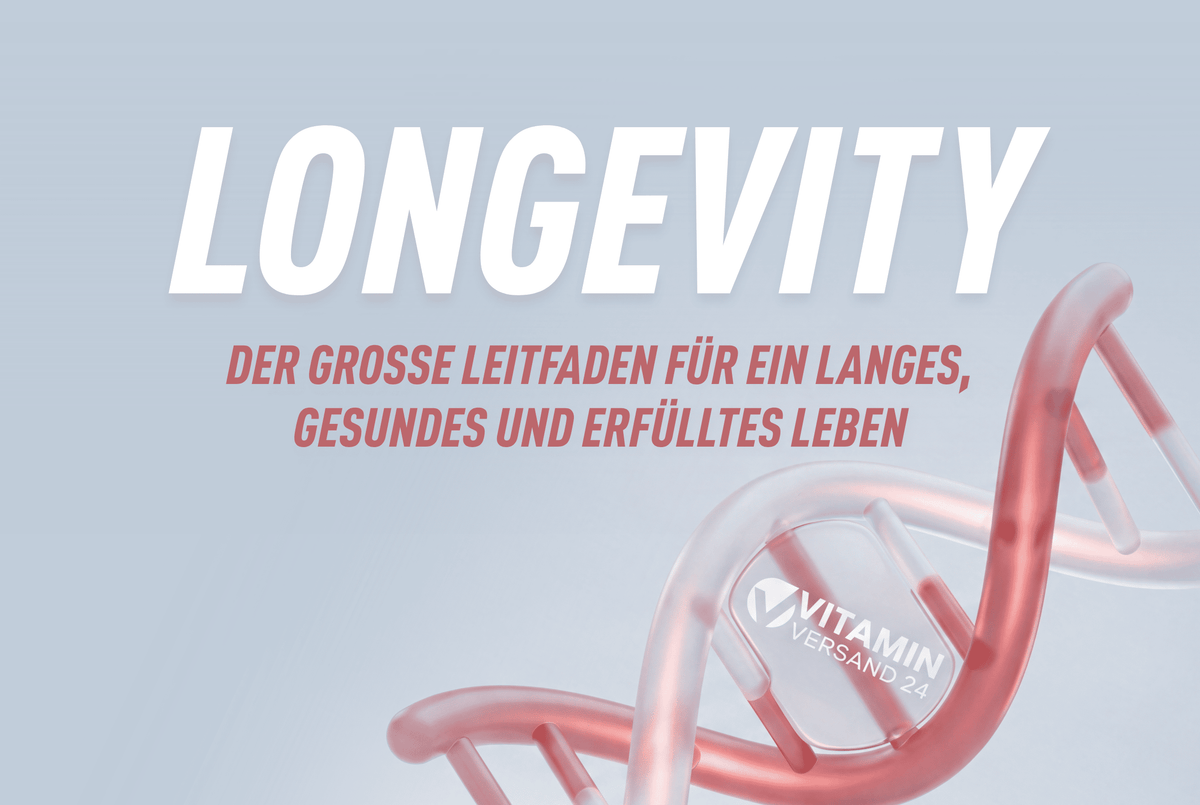 Longevity – der große Leitfaden für ein langes, gesundes und erfülltes Leben