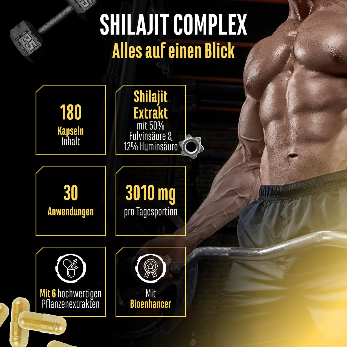 Shilajit Komplex