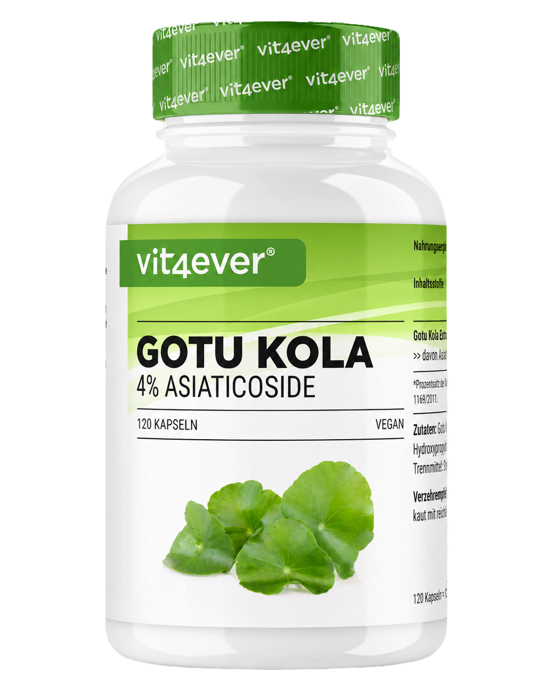Gotu Kola