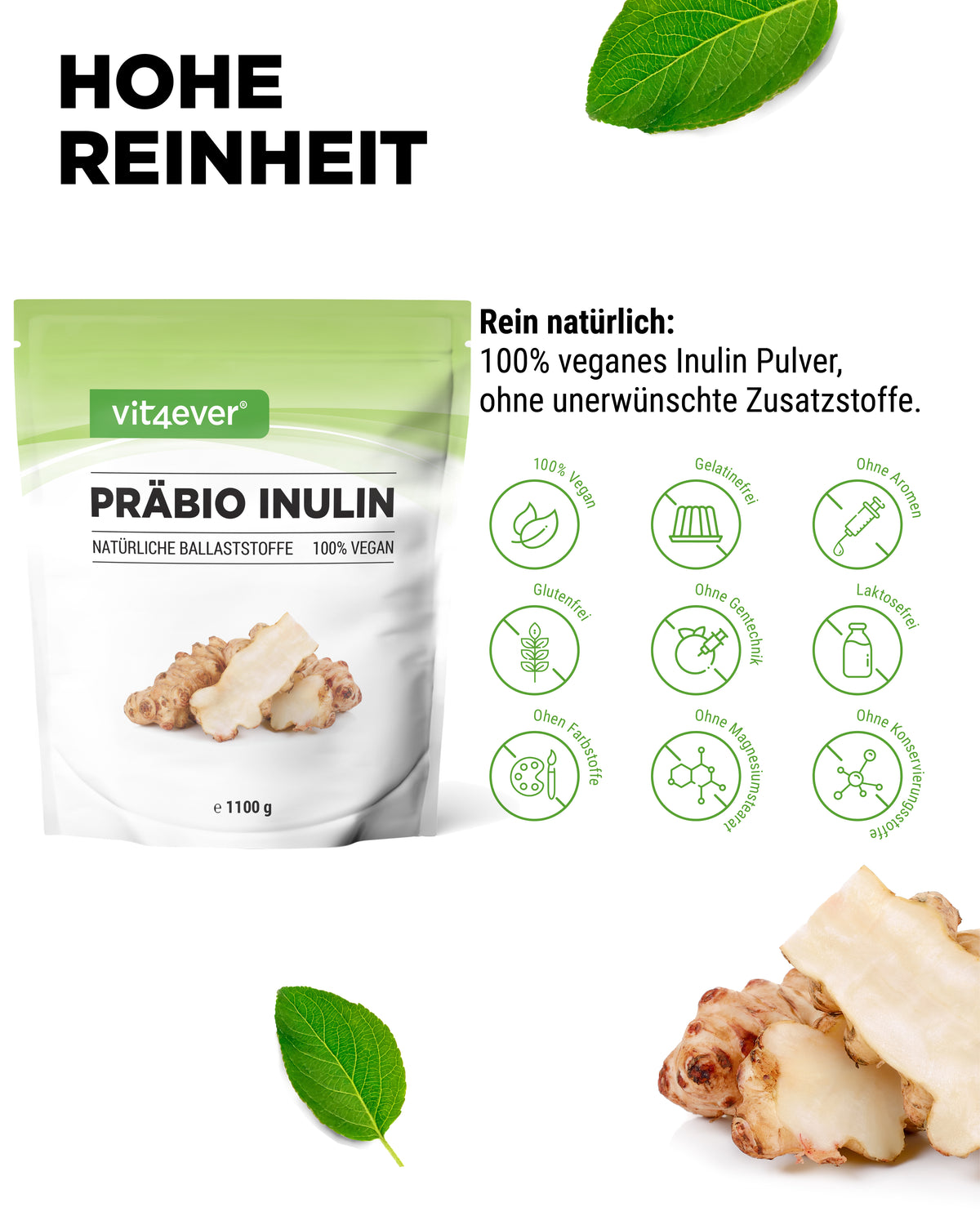 Prébio Inuline poudre