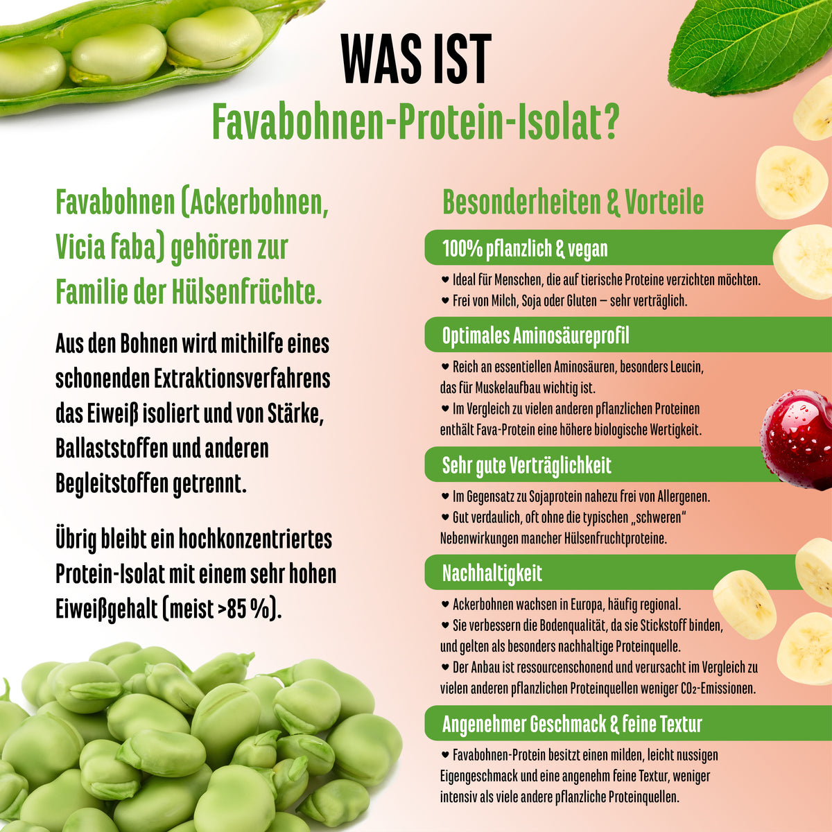 Yummy Vegan Protein