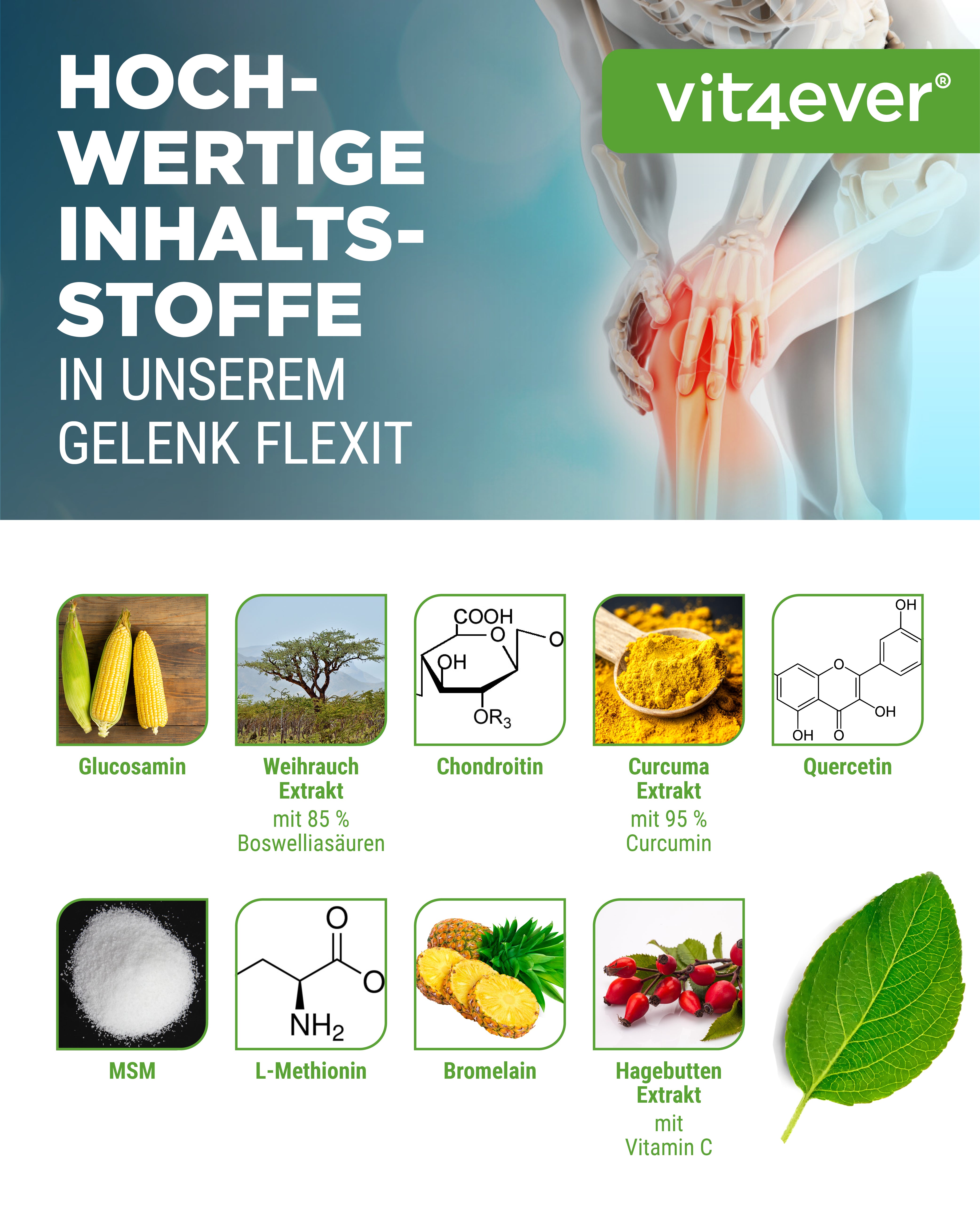Gelenk Flexit - 9 principios activos
