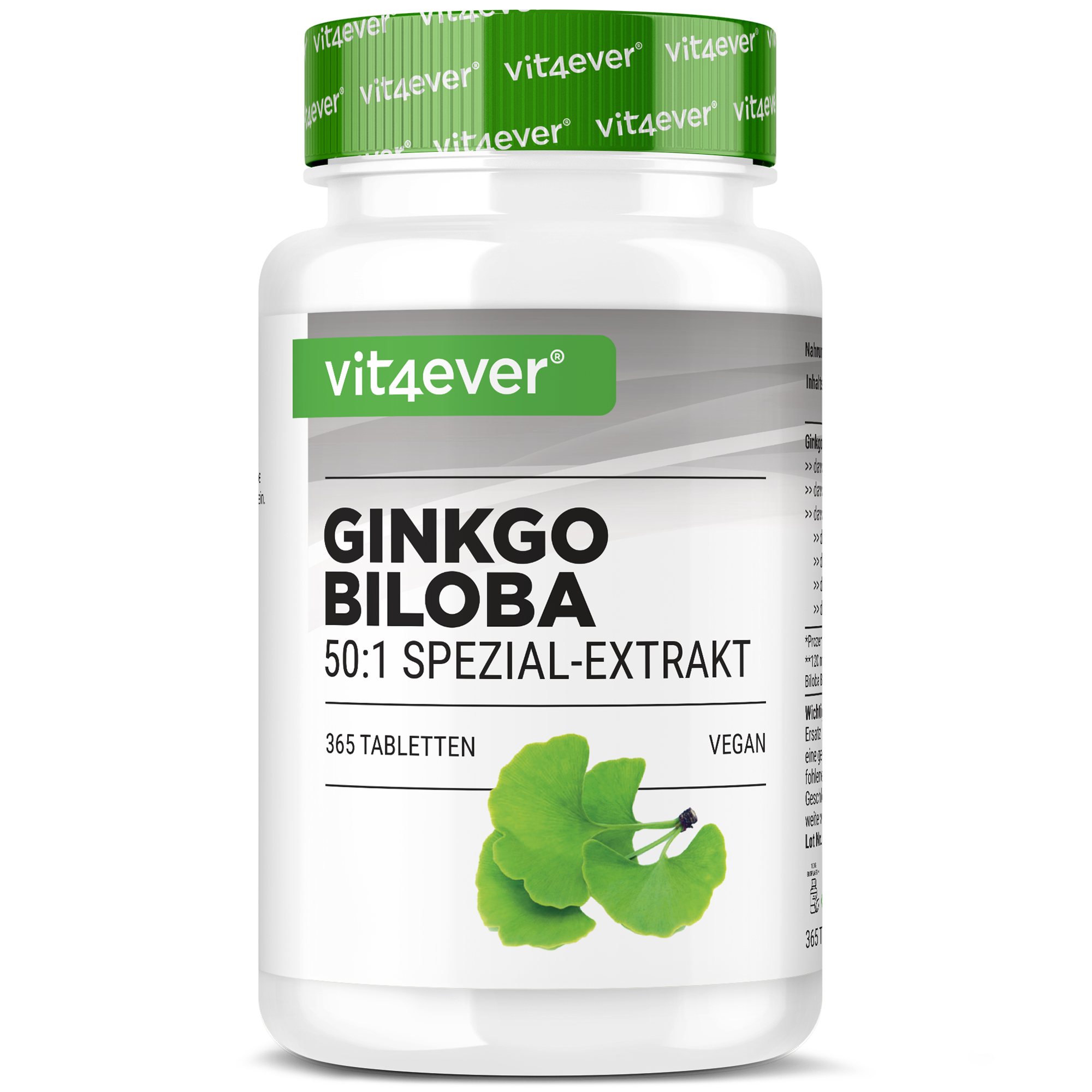 Ginkgo Biloba Extrakt