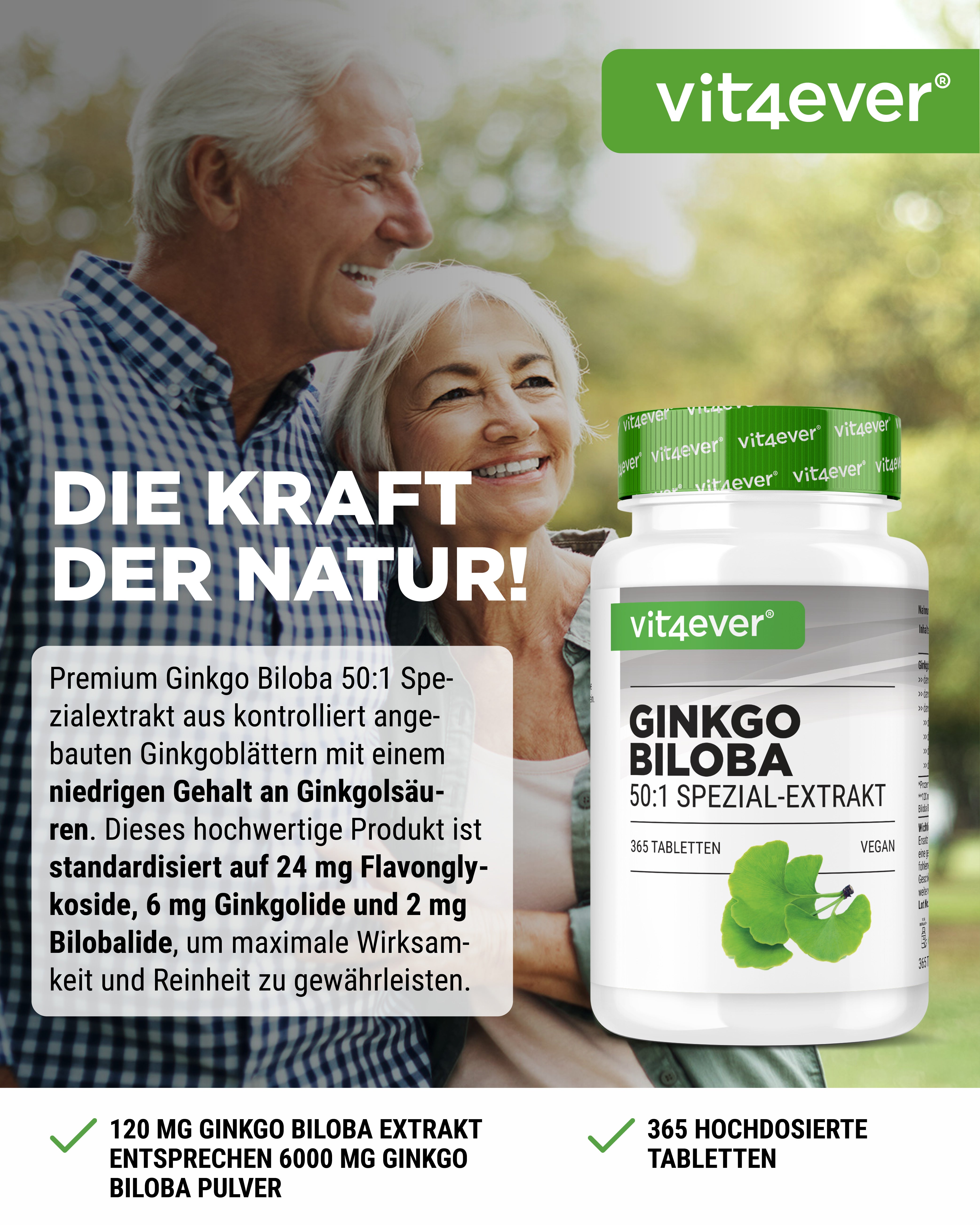 Ginkgo Biloba Extrakt