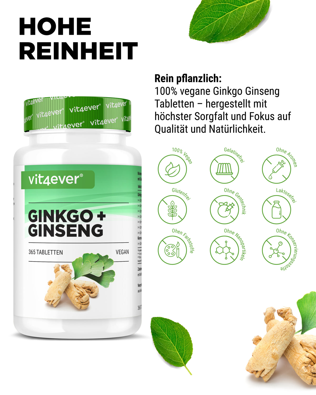 Ginkgo & Ginseng Extract