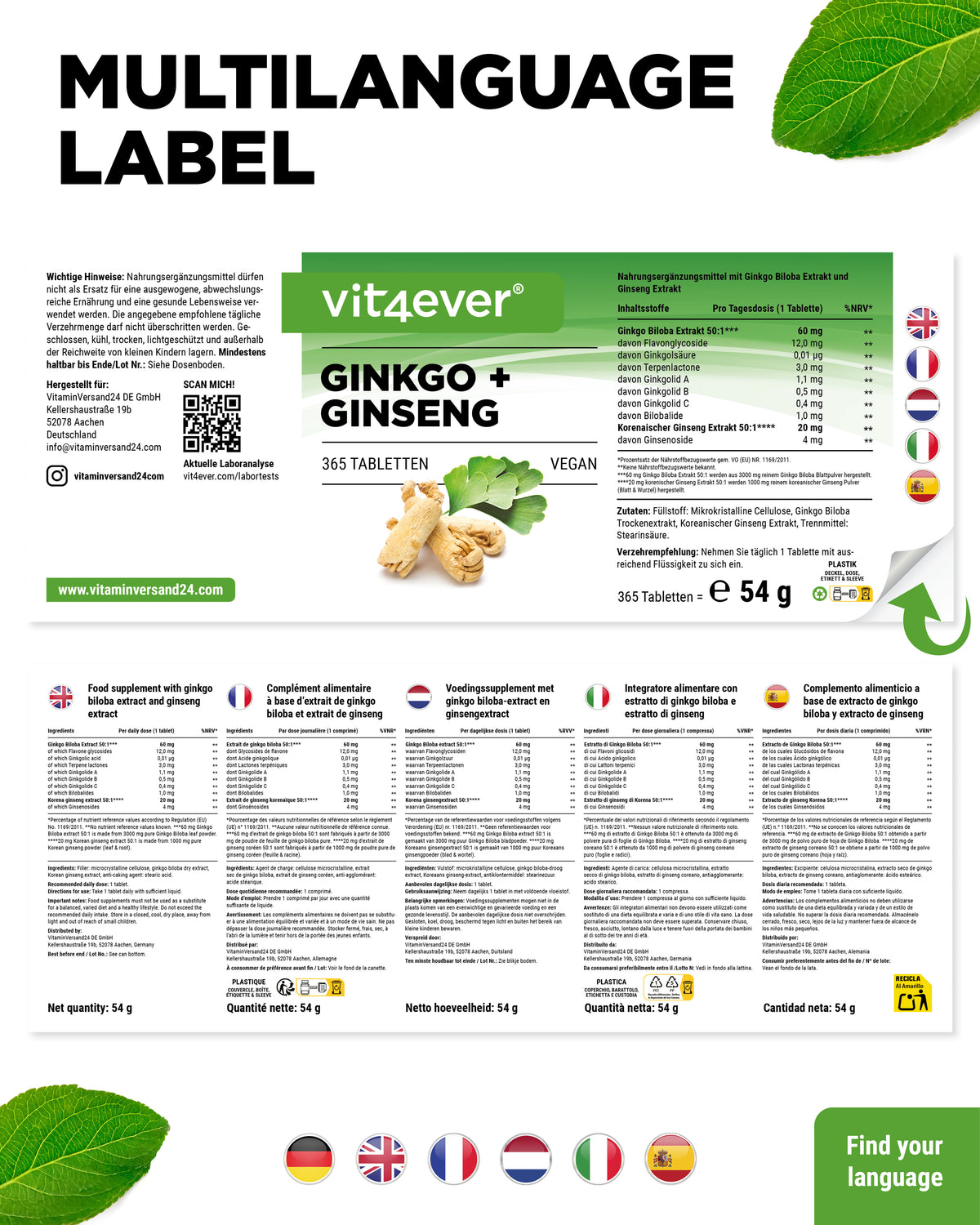 Ginkgo & Ginseng Extract
