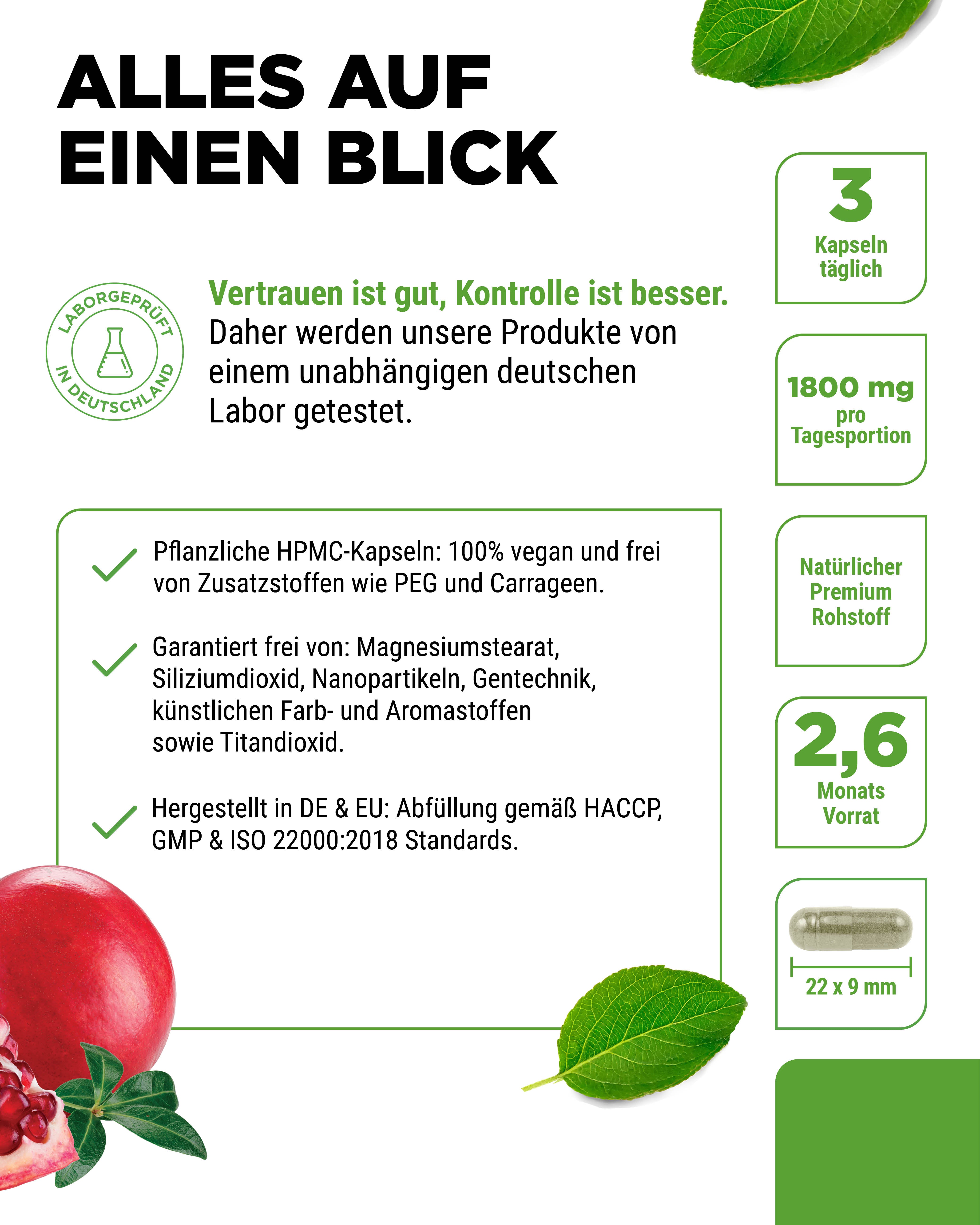 Pomegranate Extract, 240 Capsules