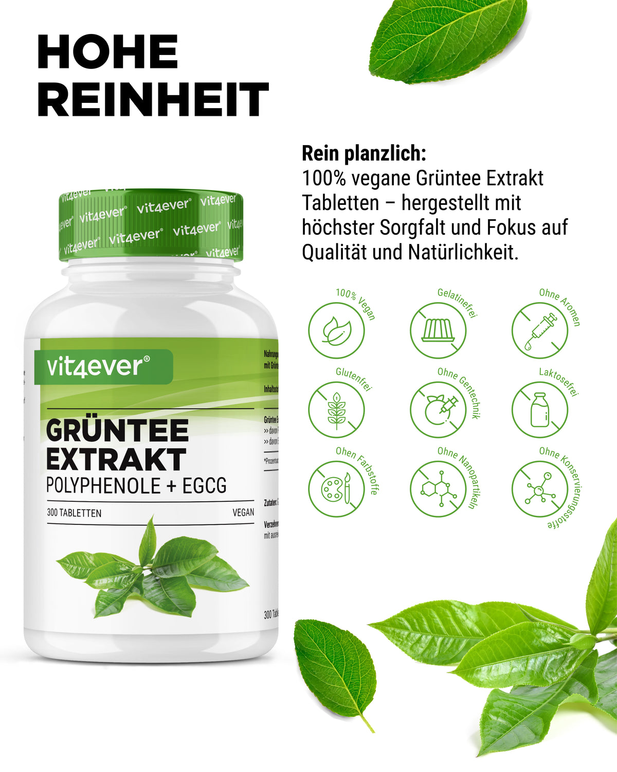 Grüntee Extrakt - EGCG