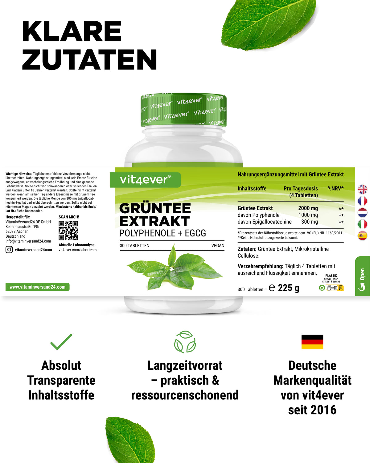 Grüntee Extrakt - EGCG