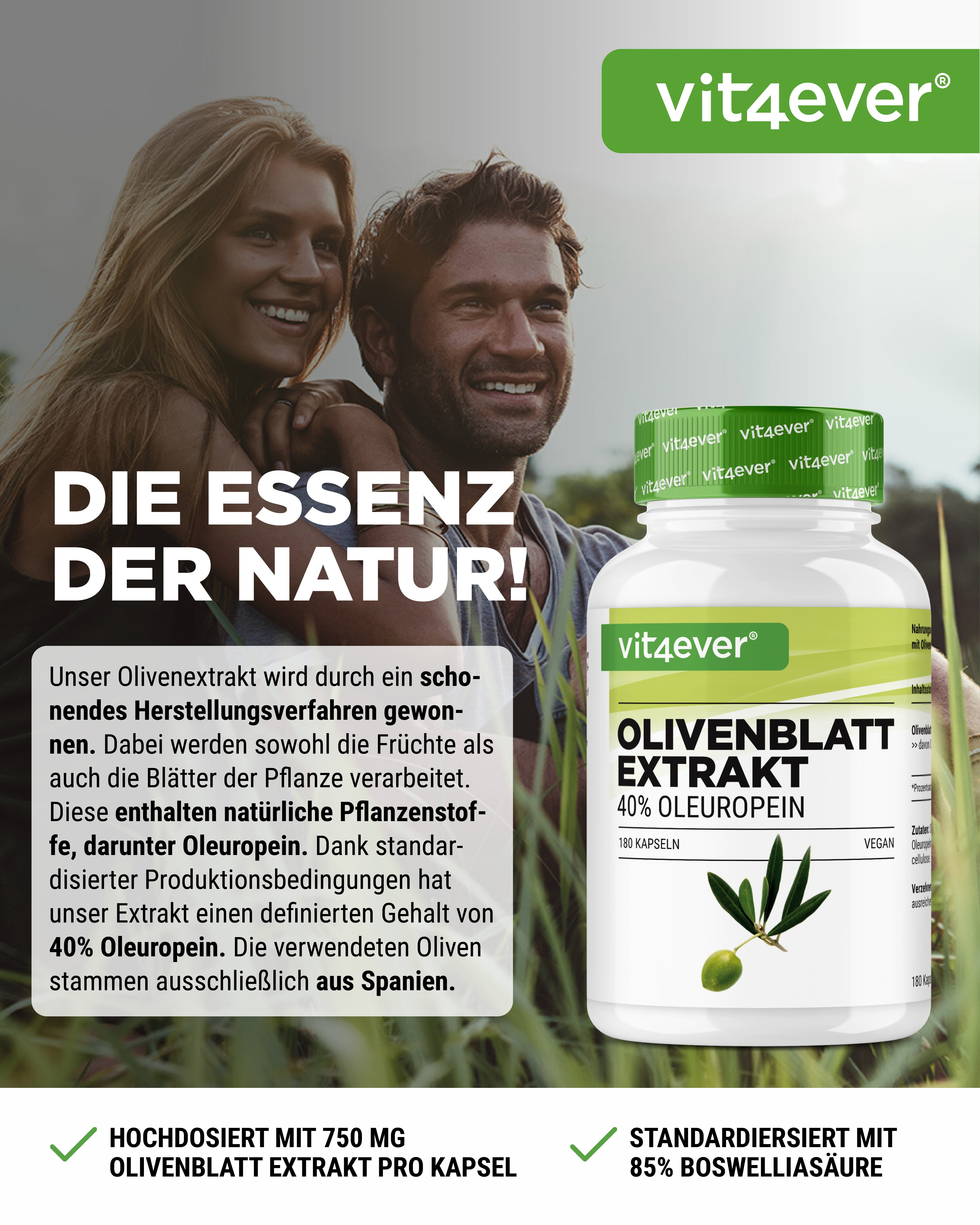Extrait de feuilles d'olivier - 40% Oleuropéine