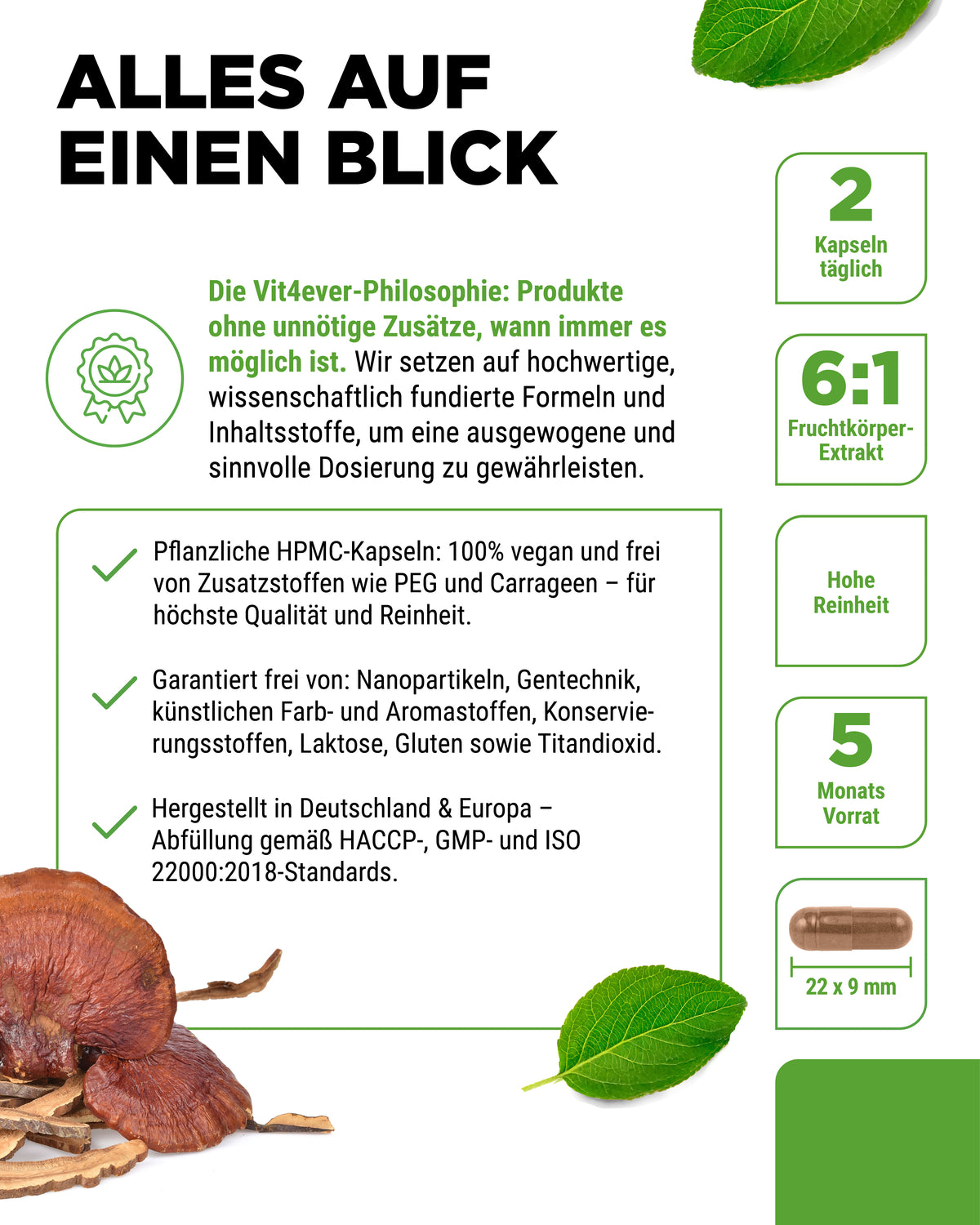 Reishi Intenso Hongo - 650 mg de extracto - 40 % de polisacáridos bioactivos