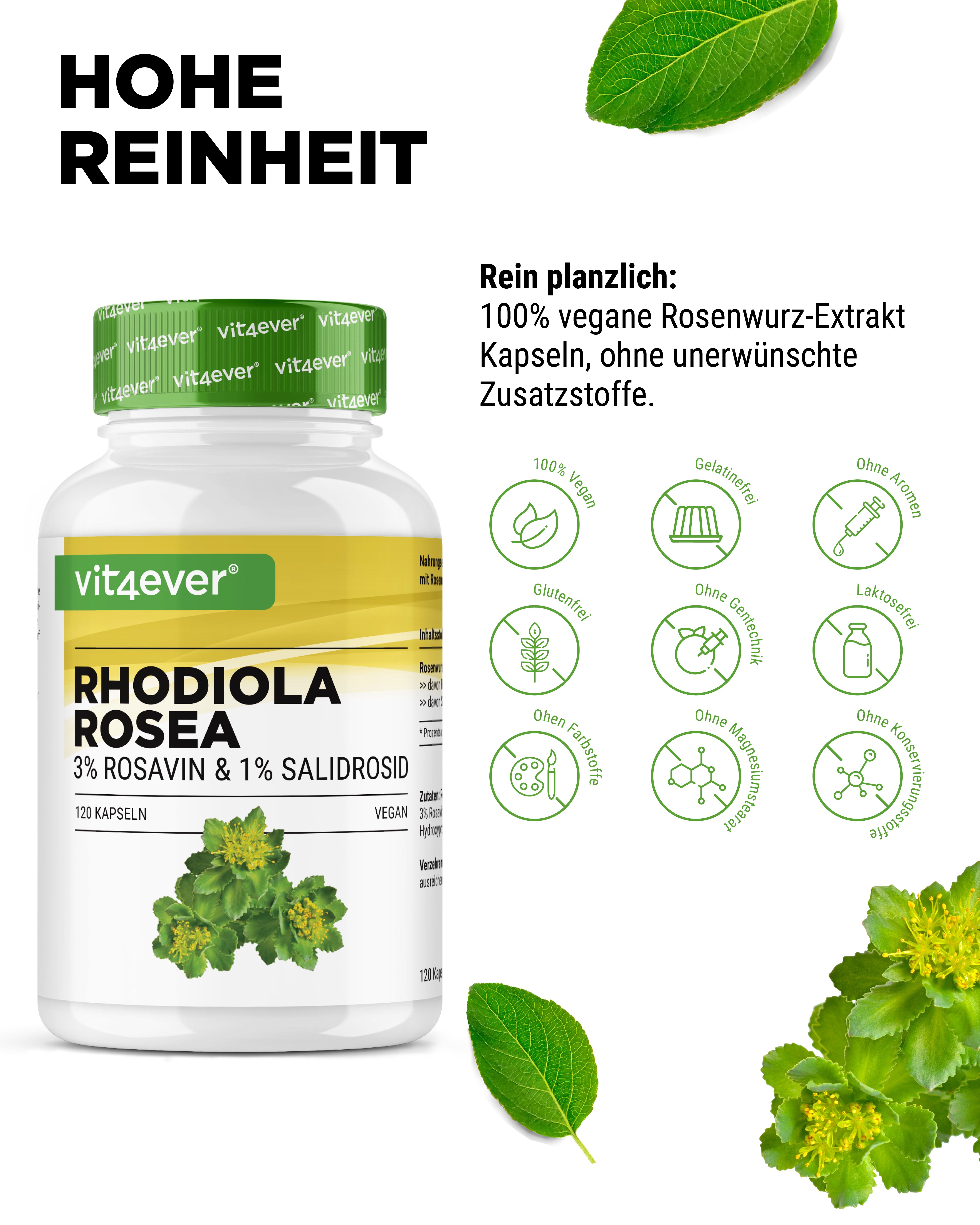 Rhodiola Rosea (Rosenwurz-Extrakt)