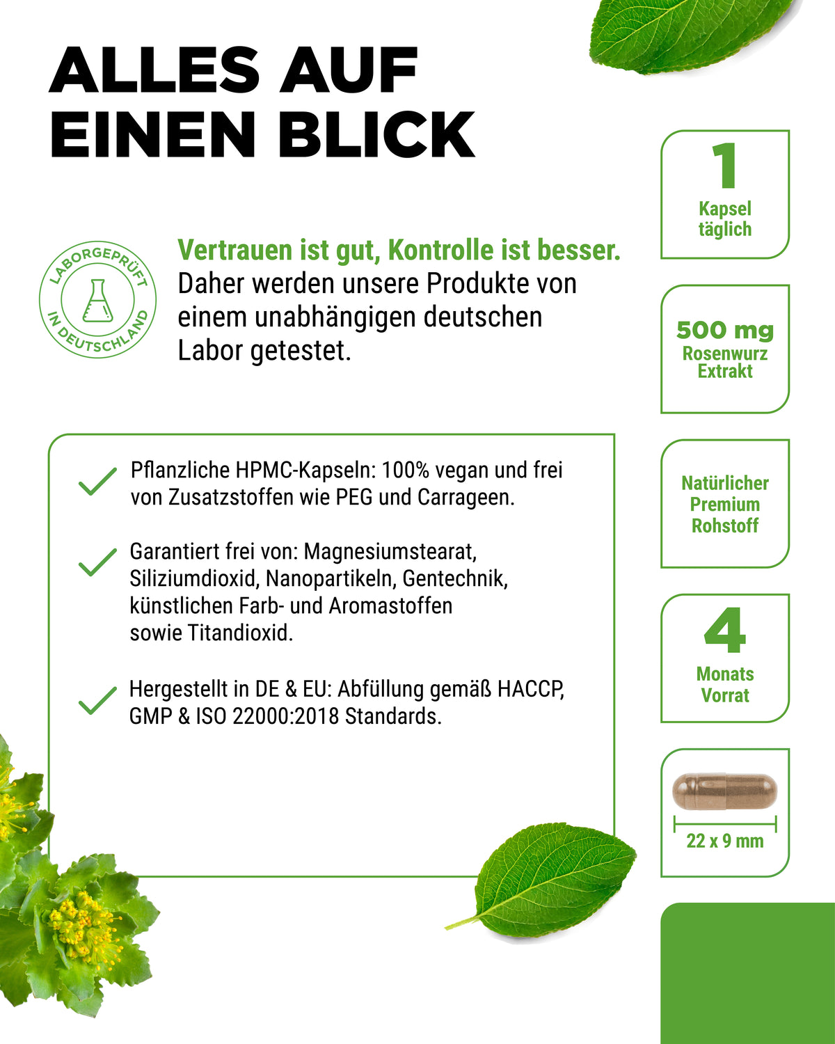 Rhodiola Rosea (Rosenwurz-Extrakt)