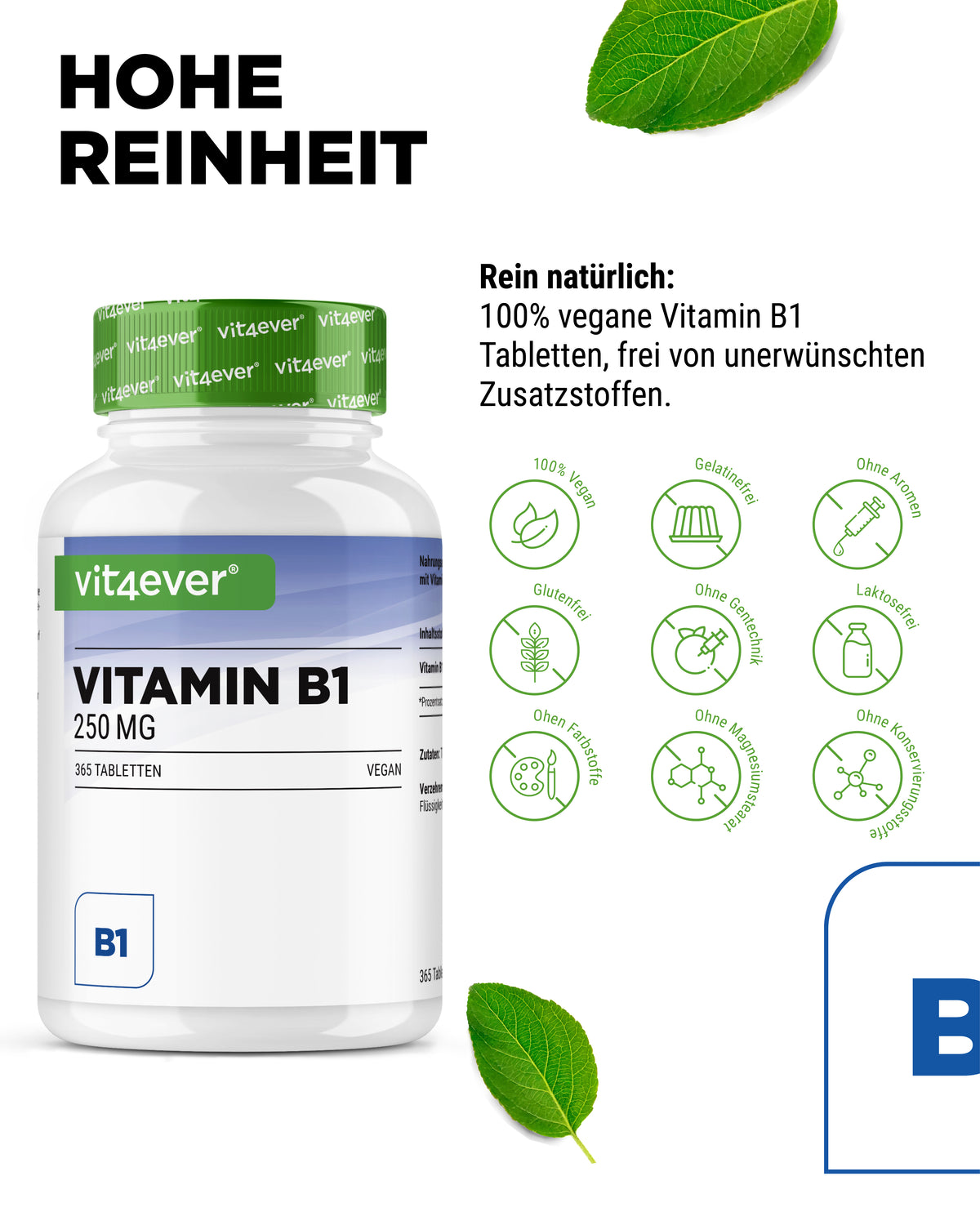 Vitamin B1 Thiamine 250 mg