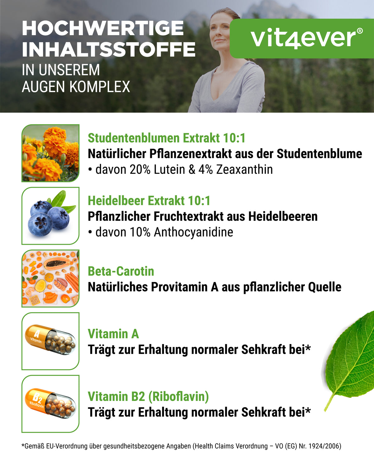 Augenkomplex