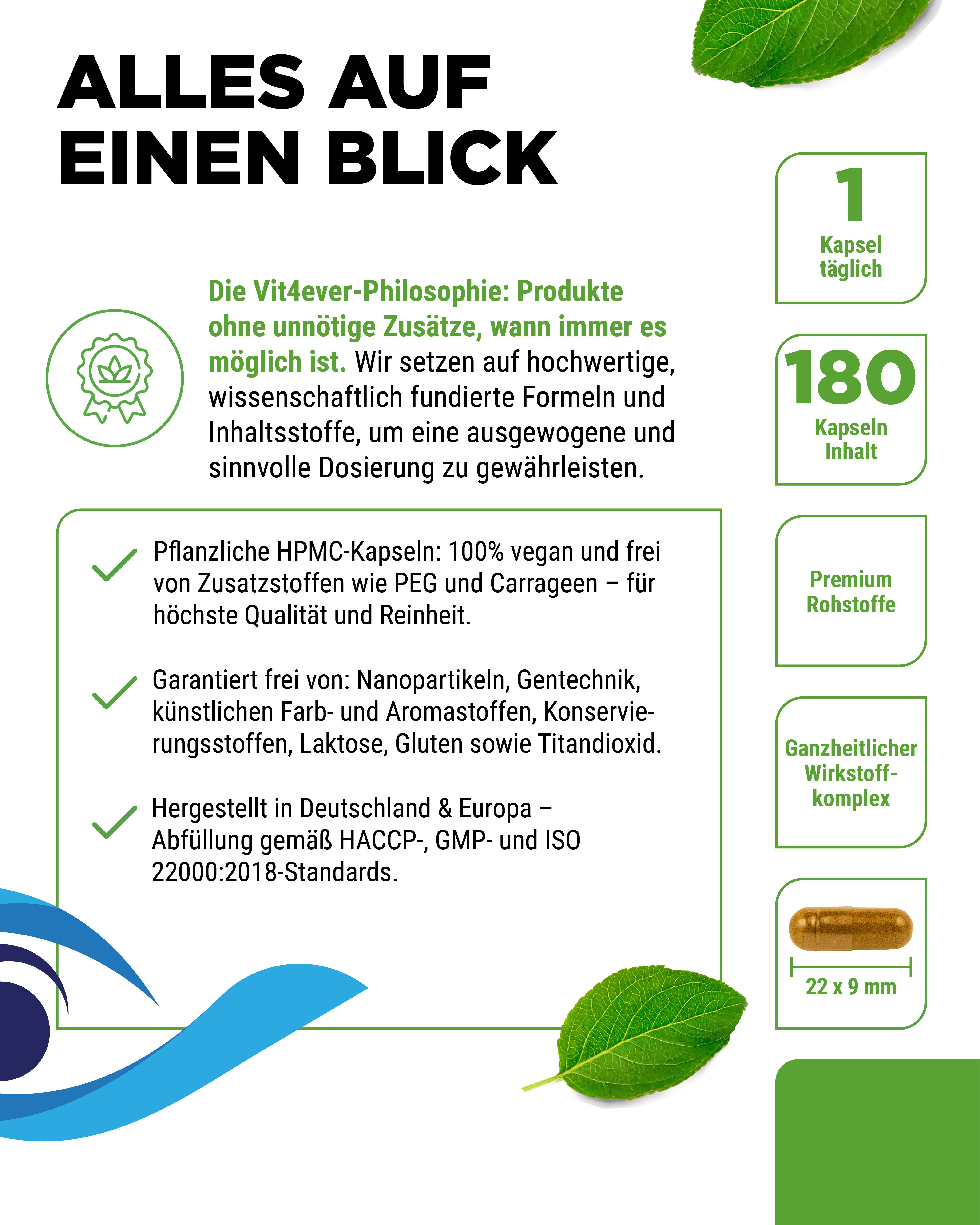 Augenkomplex