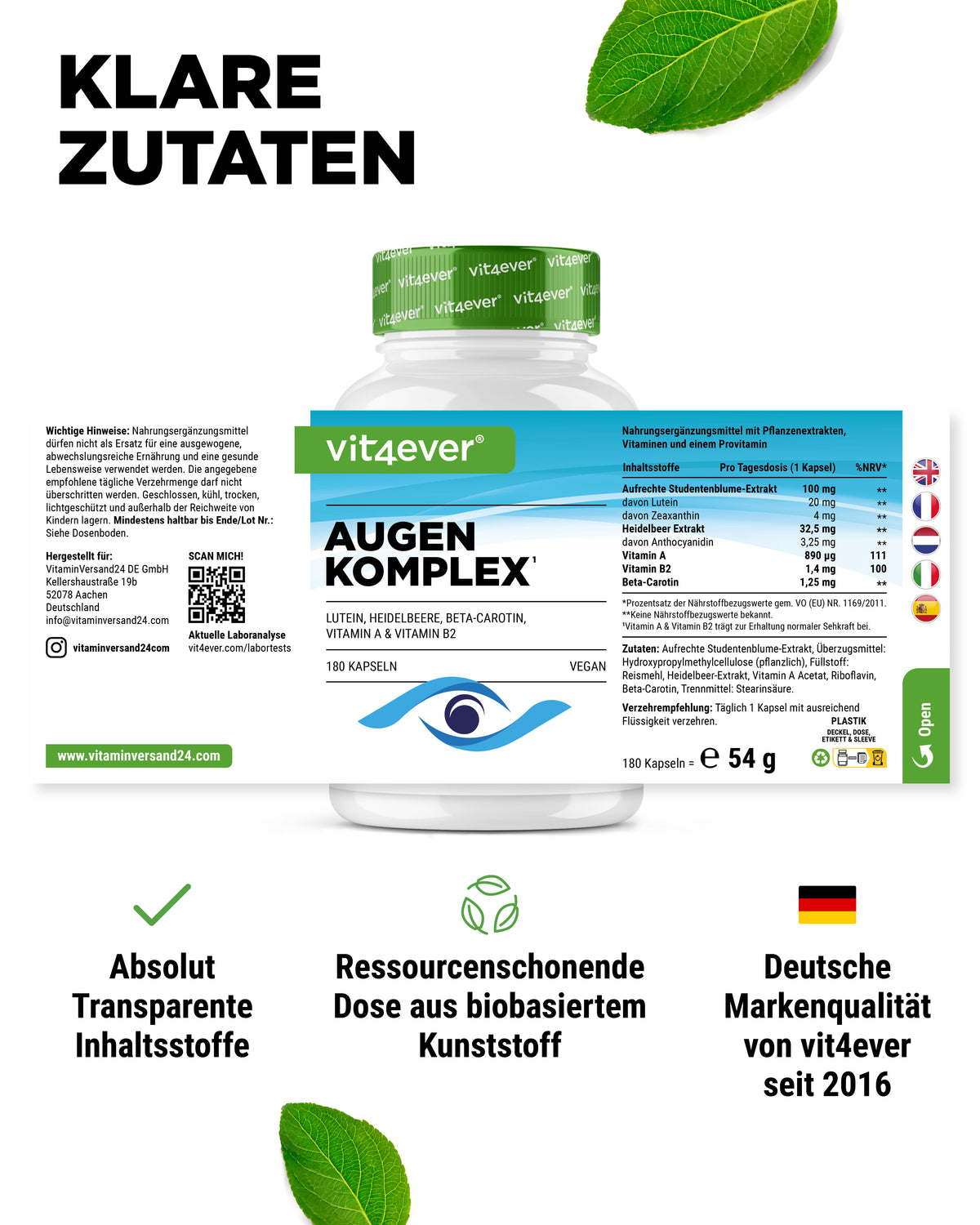 Augenkomplex