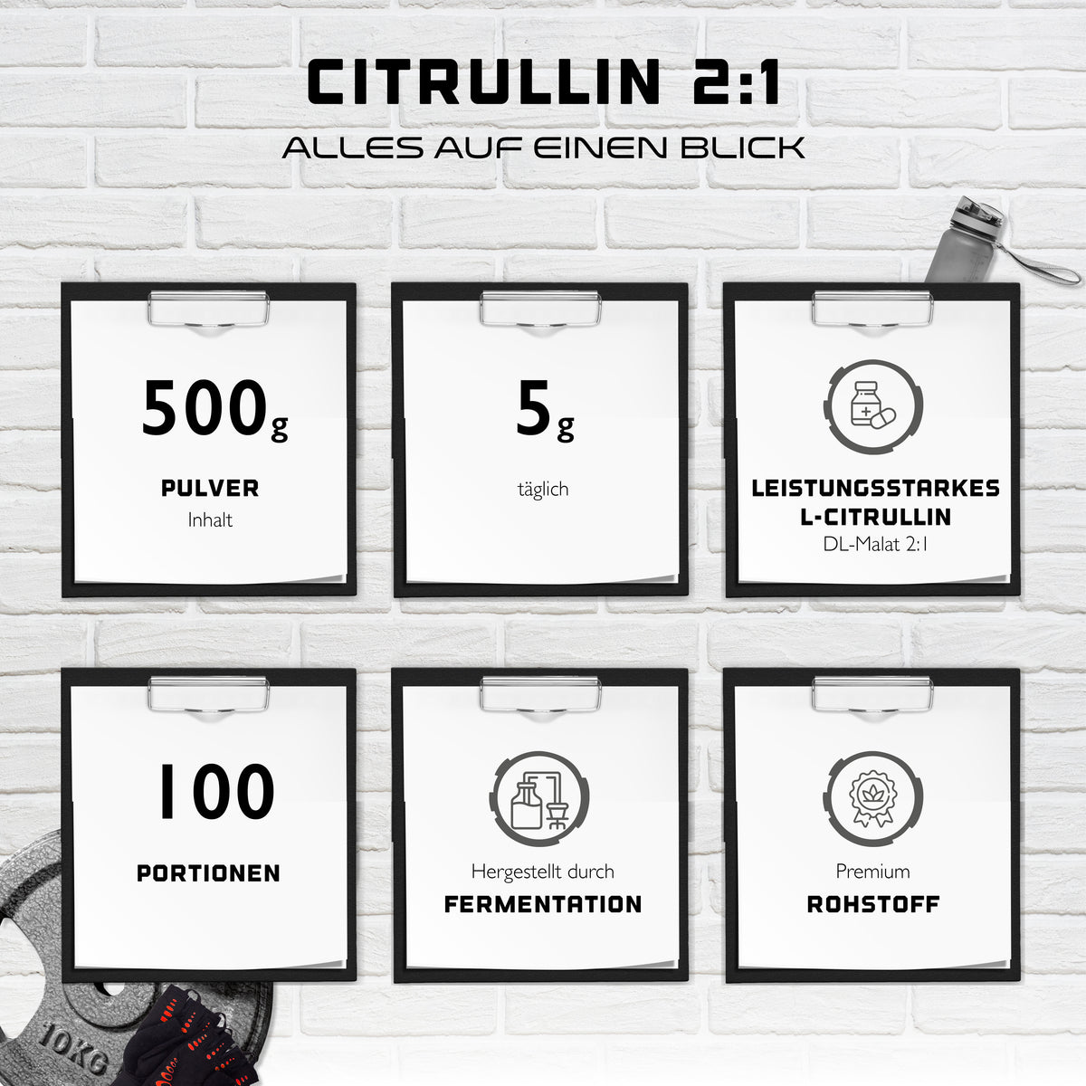 L-Citrullin Pulver