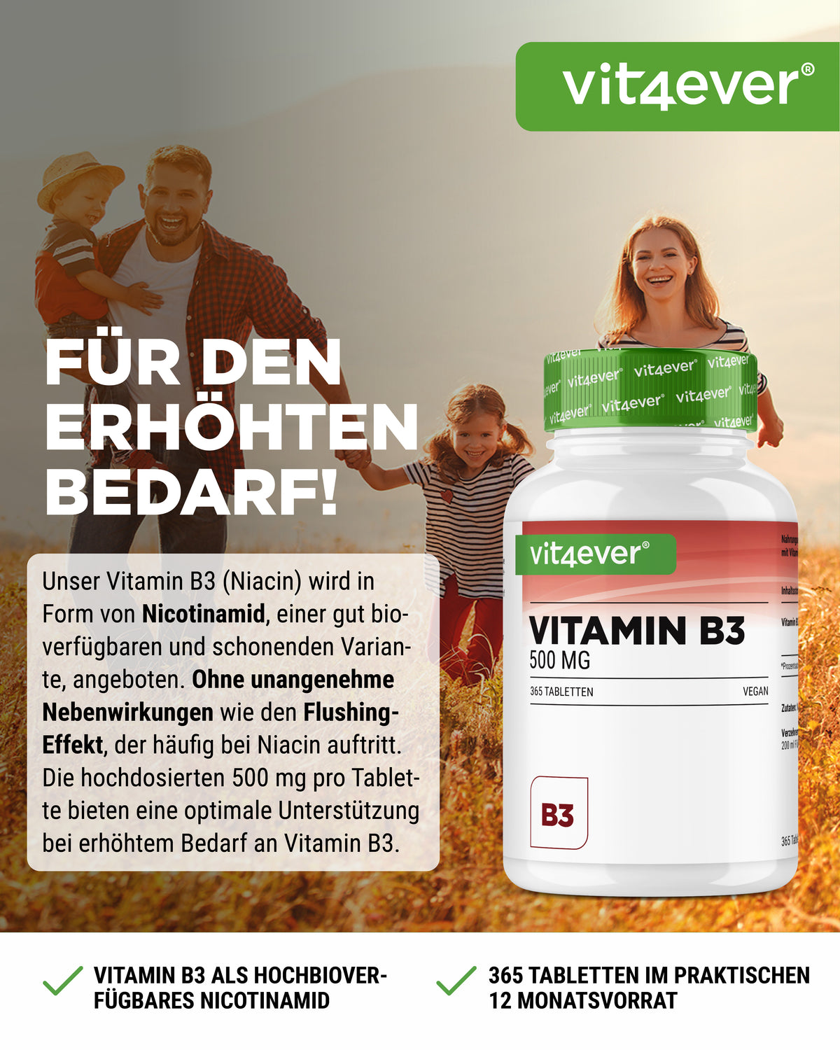 Vitamin B3 Nicotinamide 500 mg