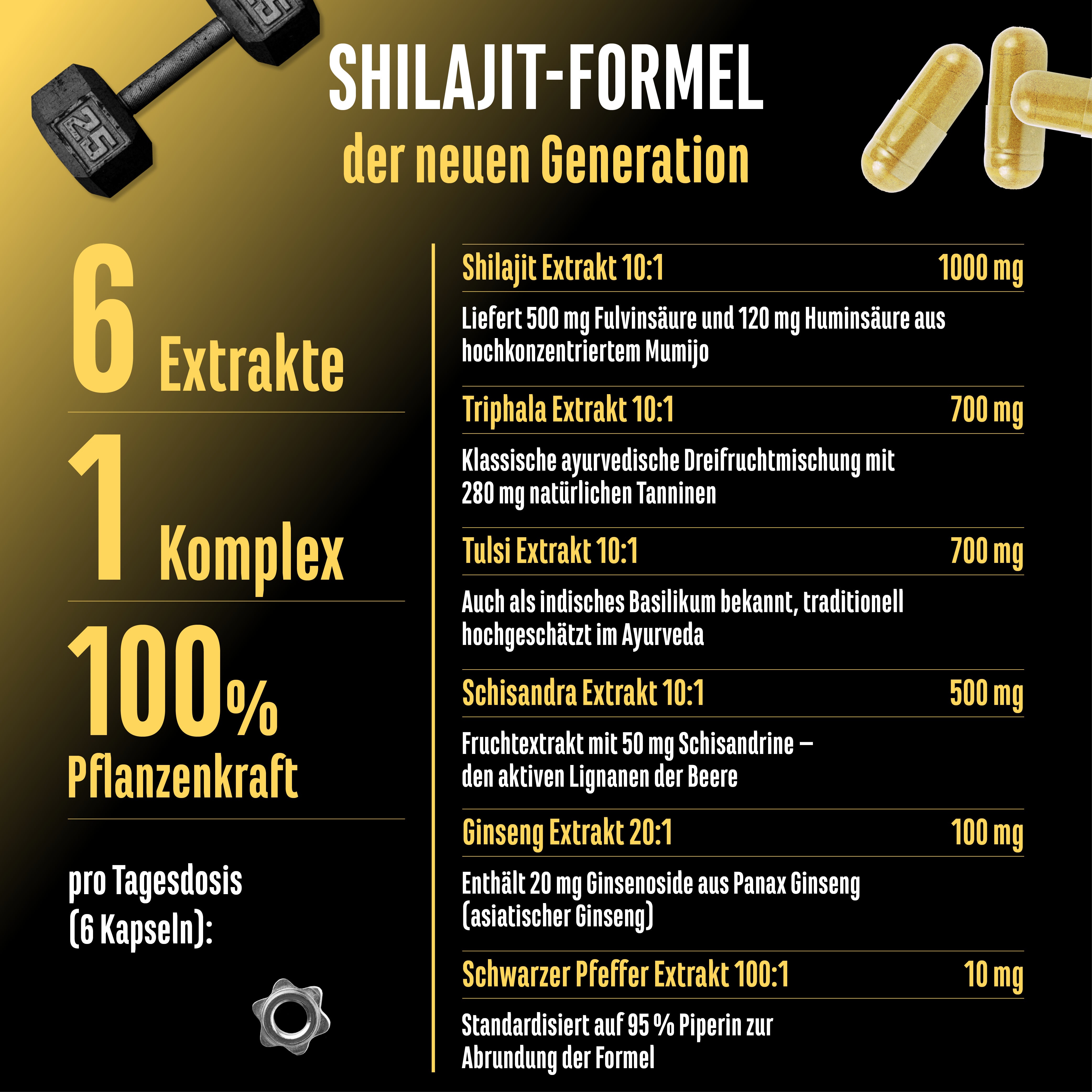 Shilajit Complex