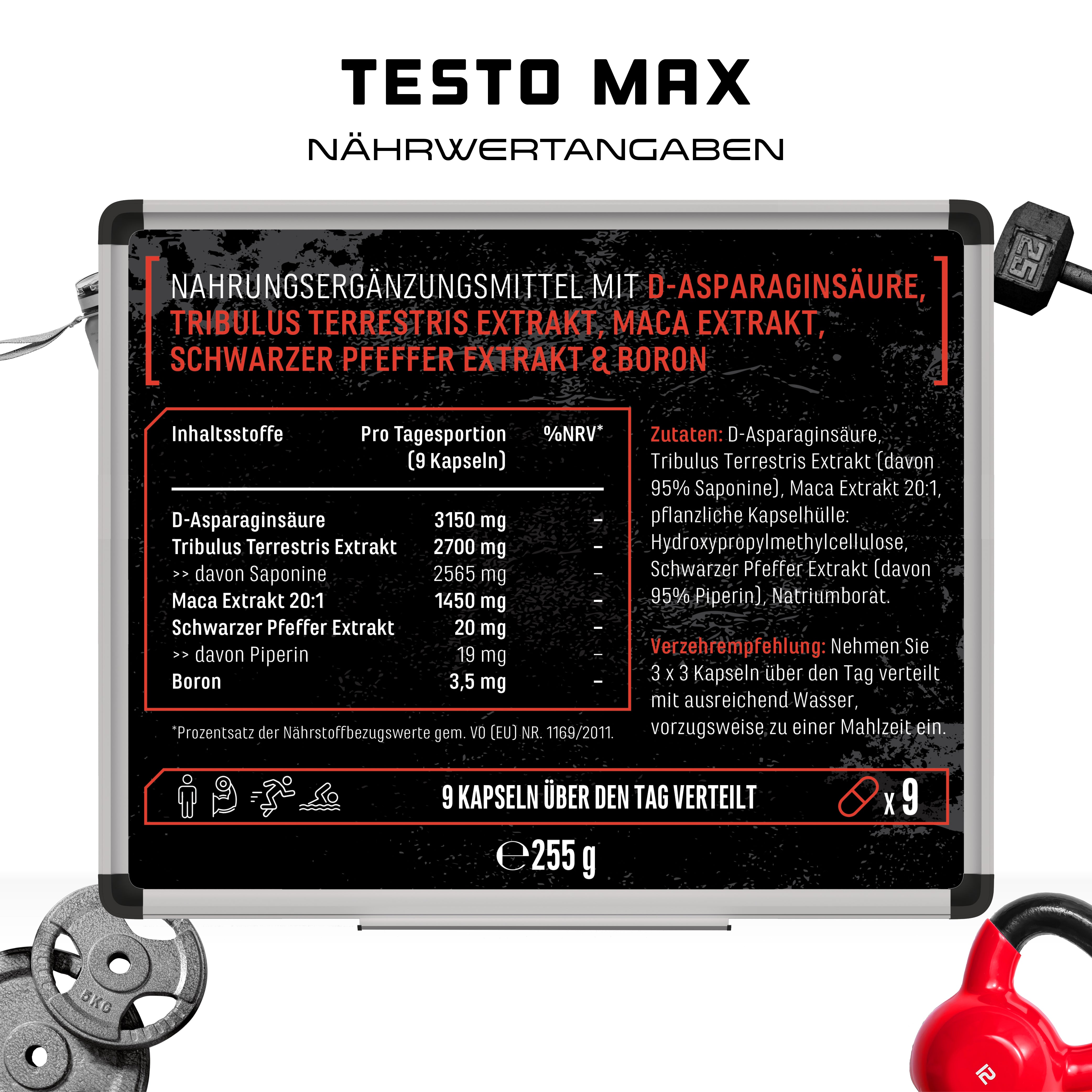 Text MAX