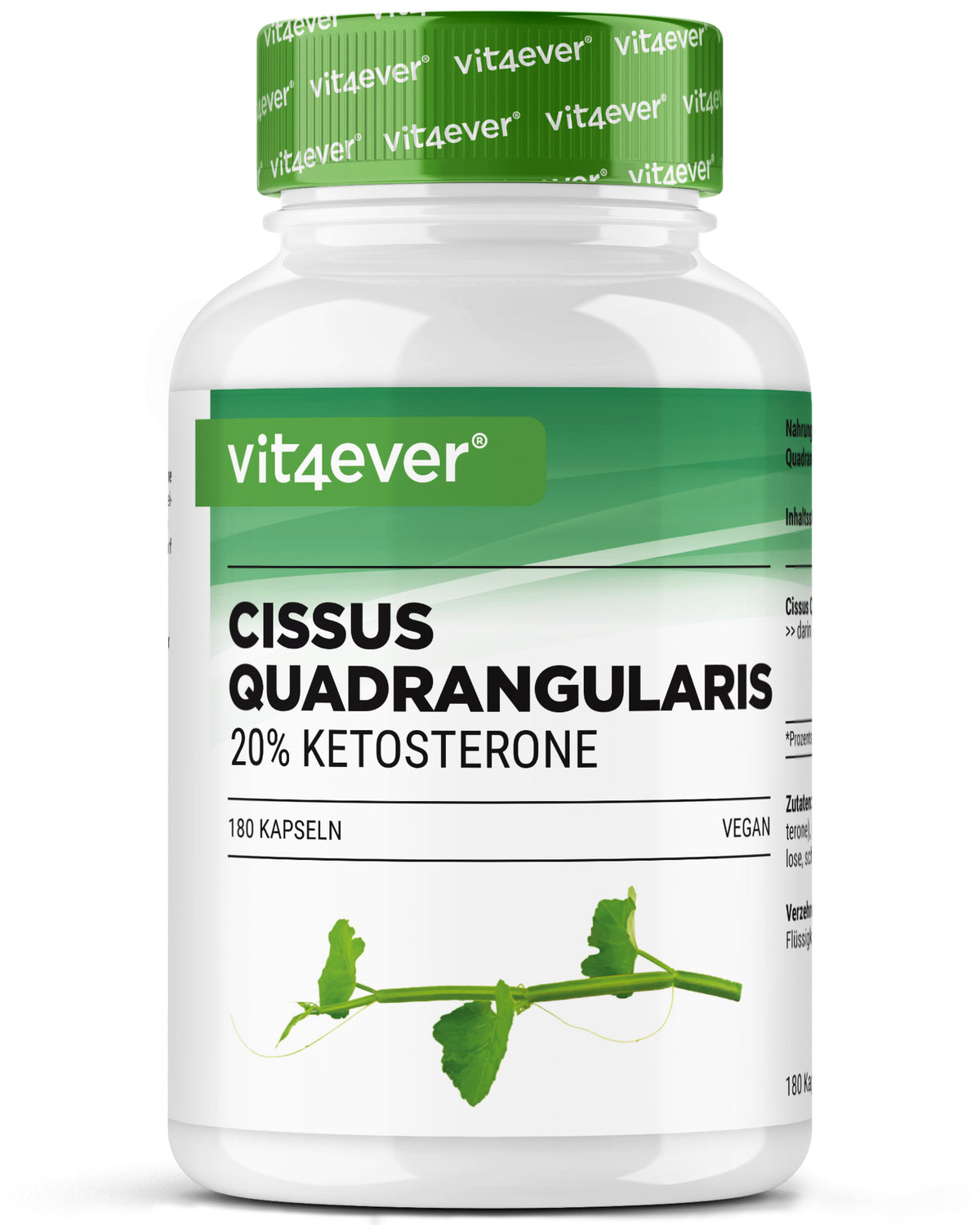 Cissus Quadrangularis - 725 mg estratto - 40% chetosteroni