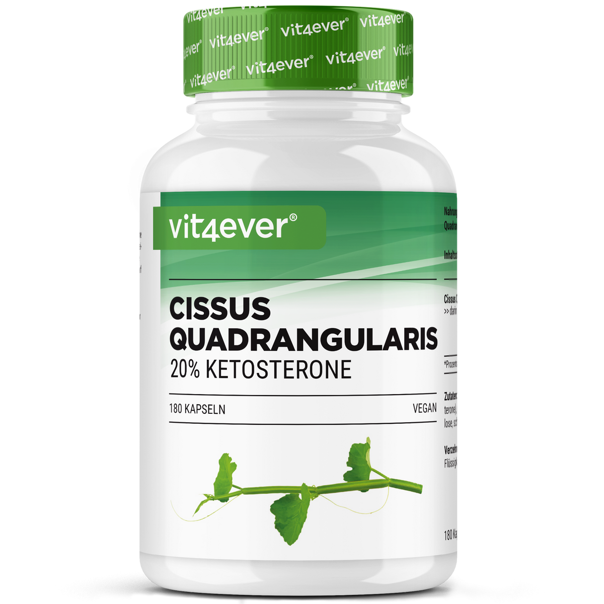 Cissus Quadrangularis - 725 mg estratto - 40% chetosteroni