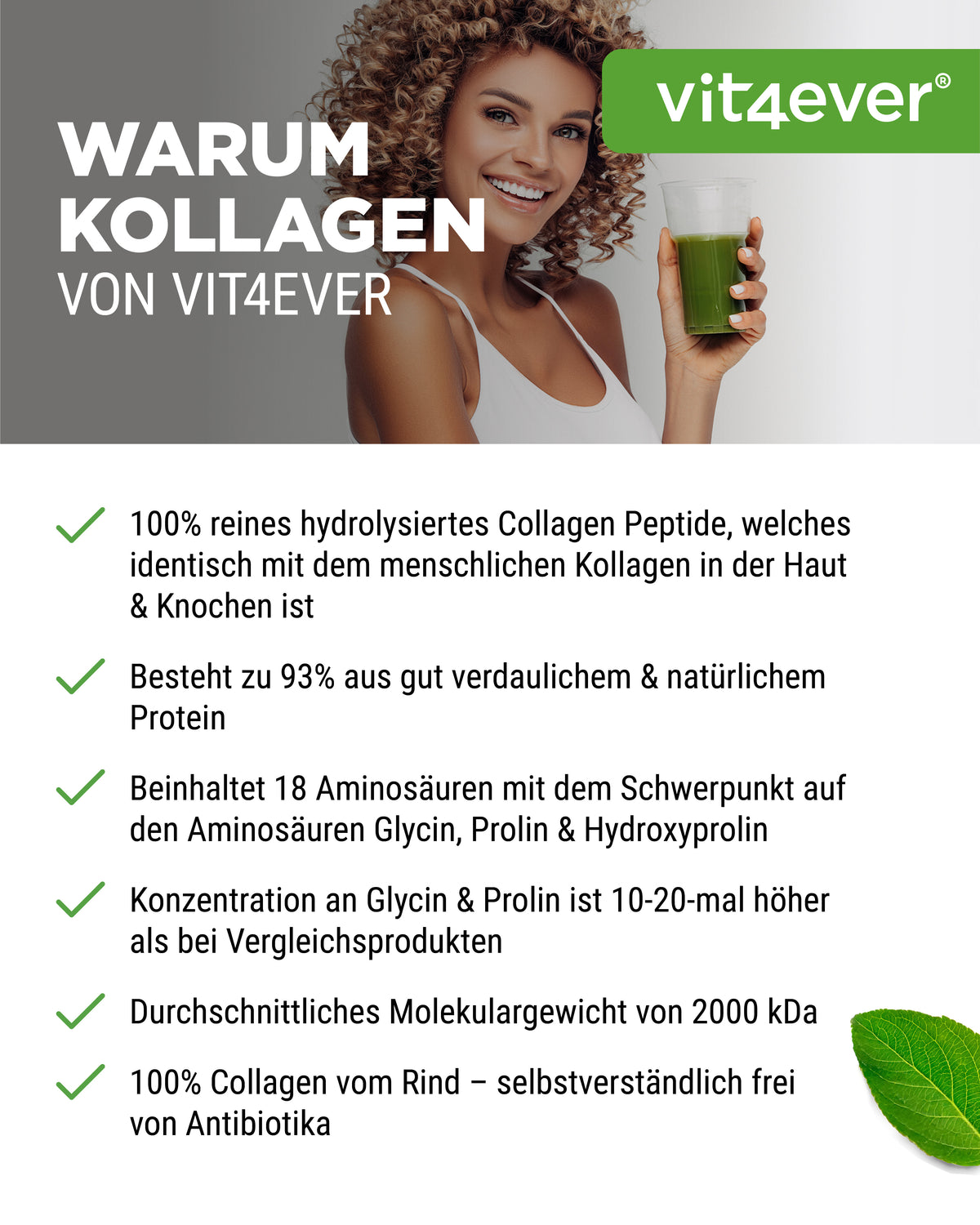 Kollagen Pulver