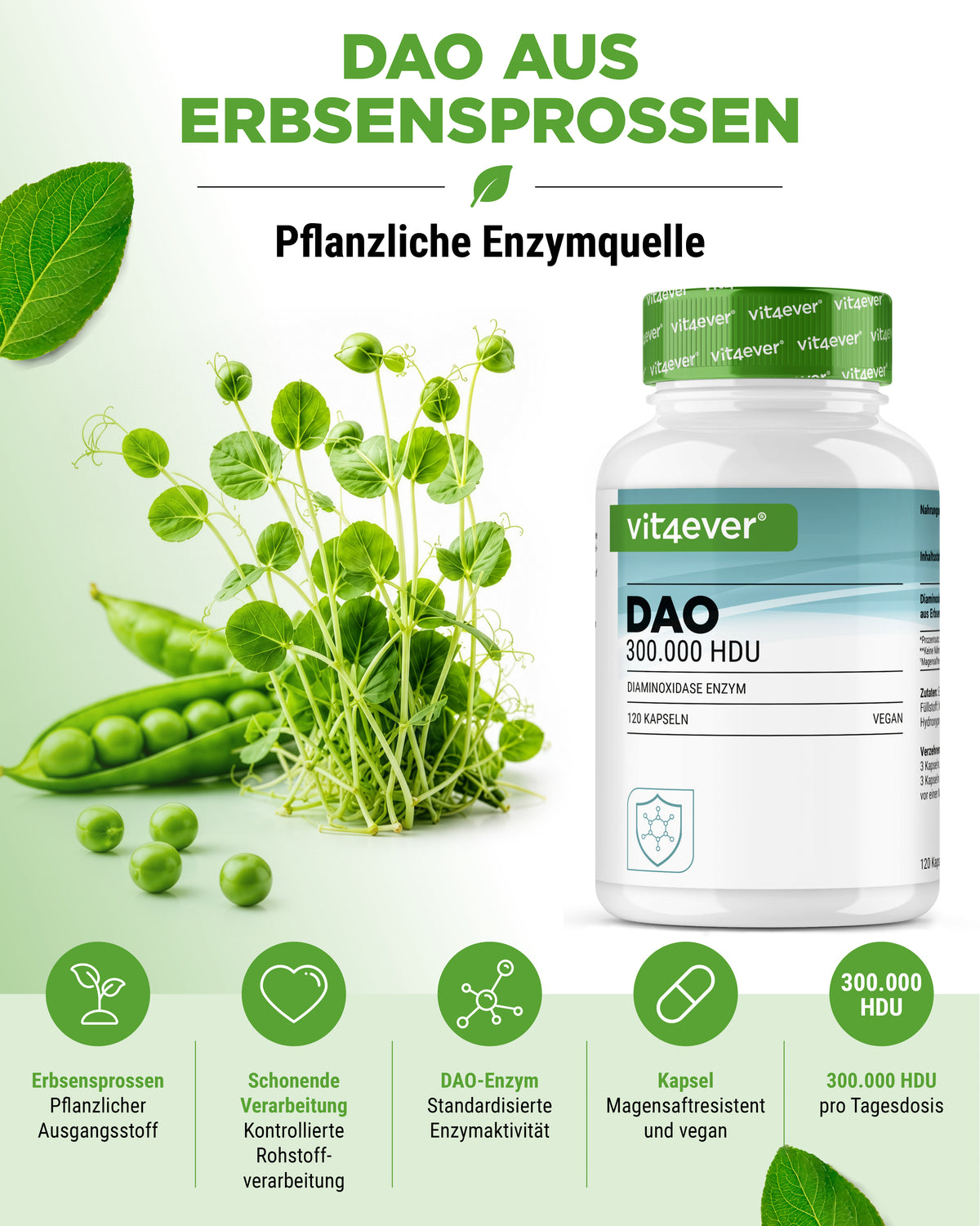 DAO Enzym - 300.000 HDU