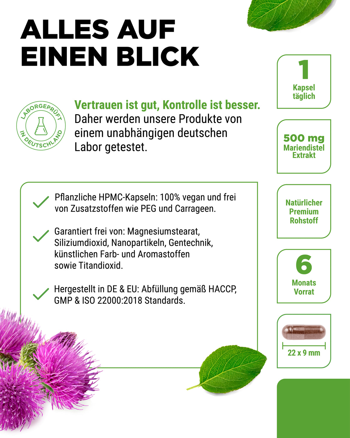 Milk Thistle Extract - 500mg - 80% Silymarin