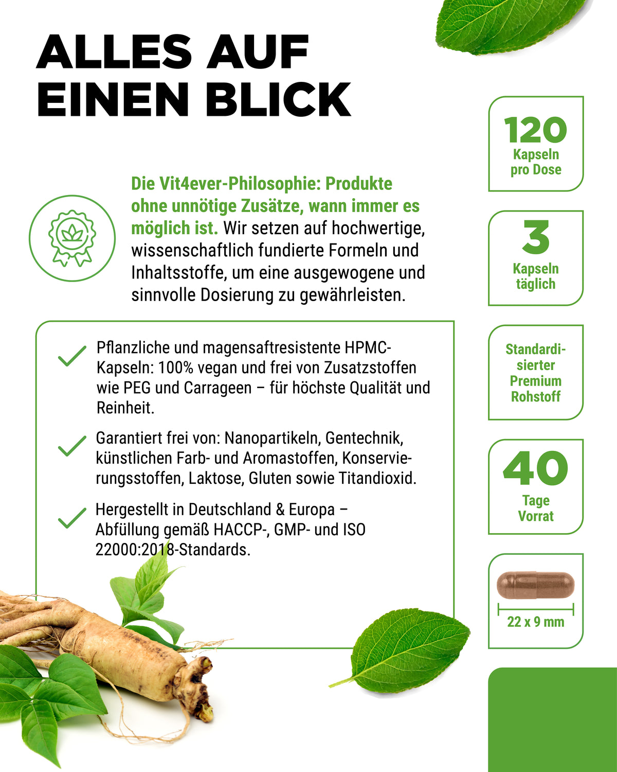 vit4ever Roter Panax Ginseng aus Korea – 20 % Ginsenoside, 120 Kapseln