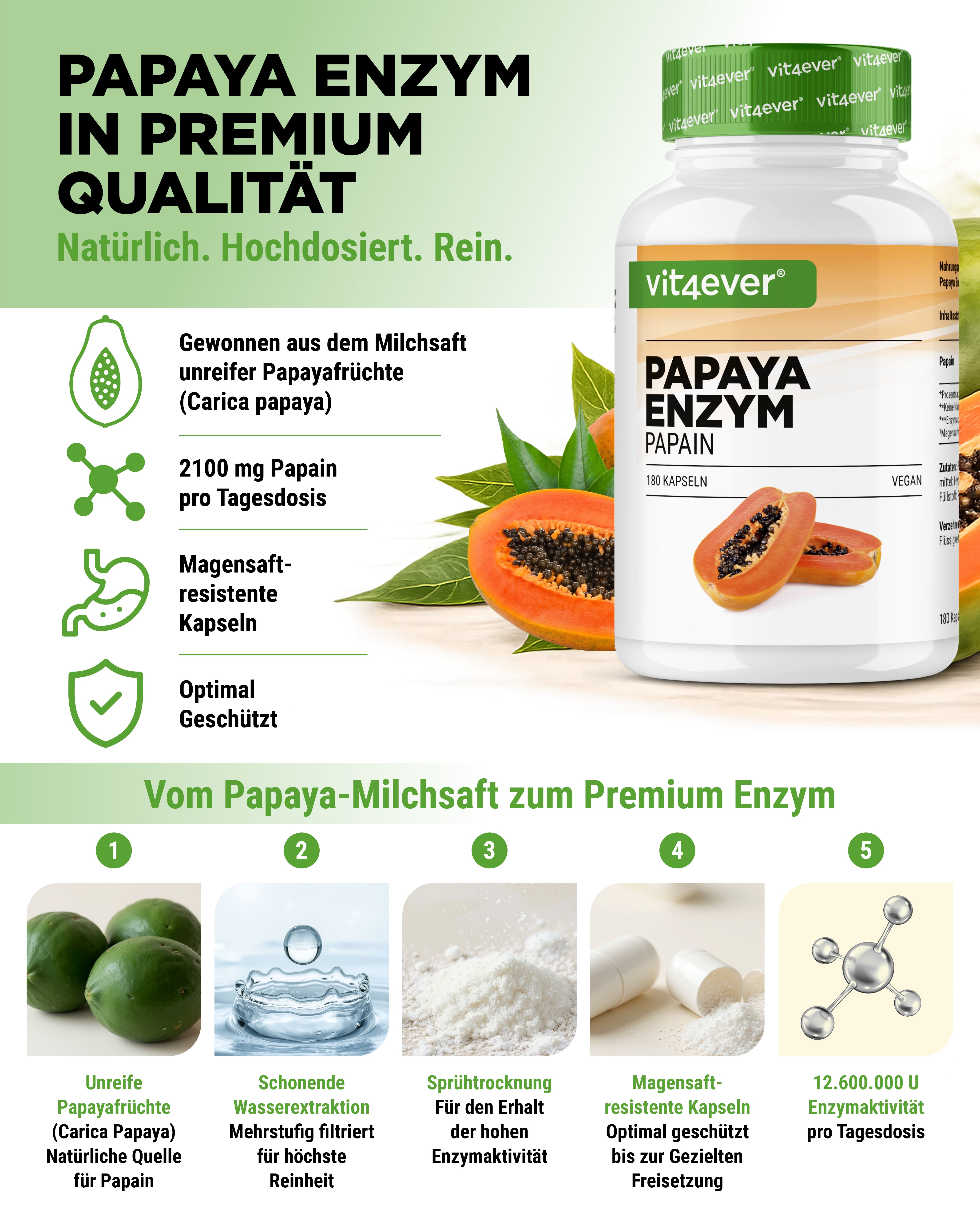 Papaya Enzym