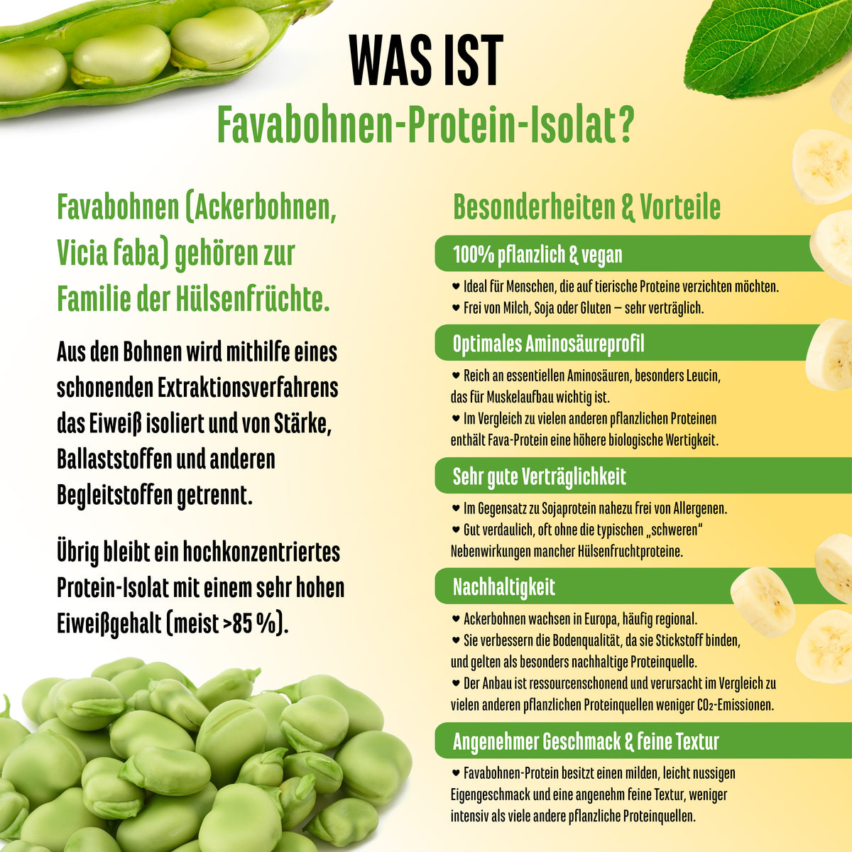 Yummy Vegan Protein