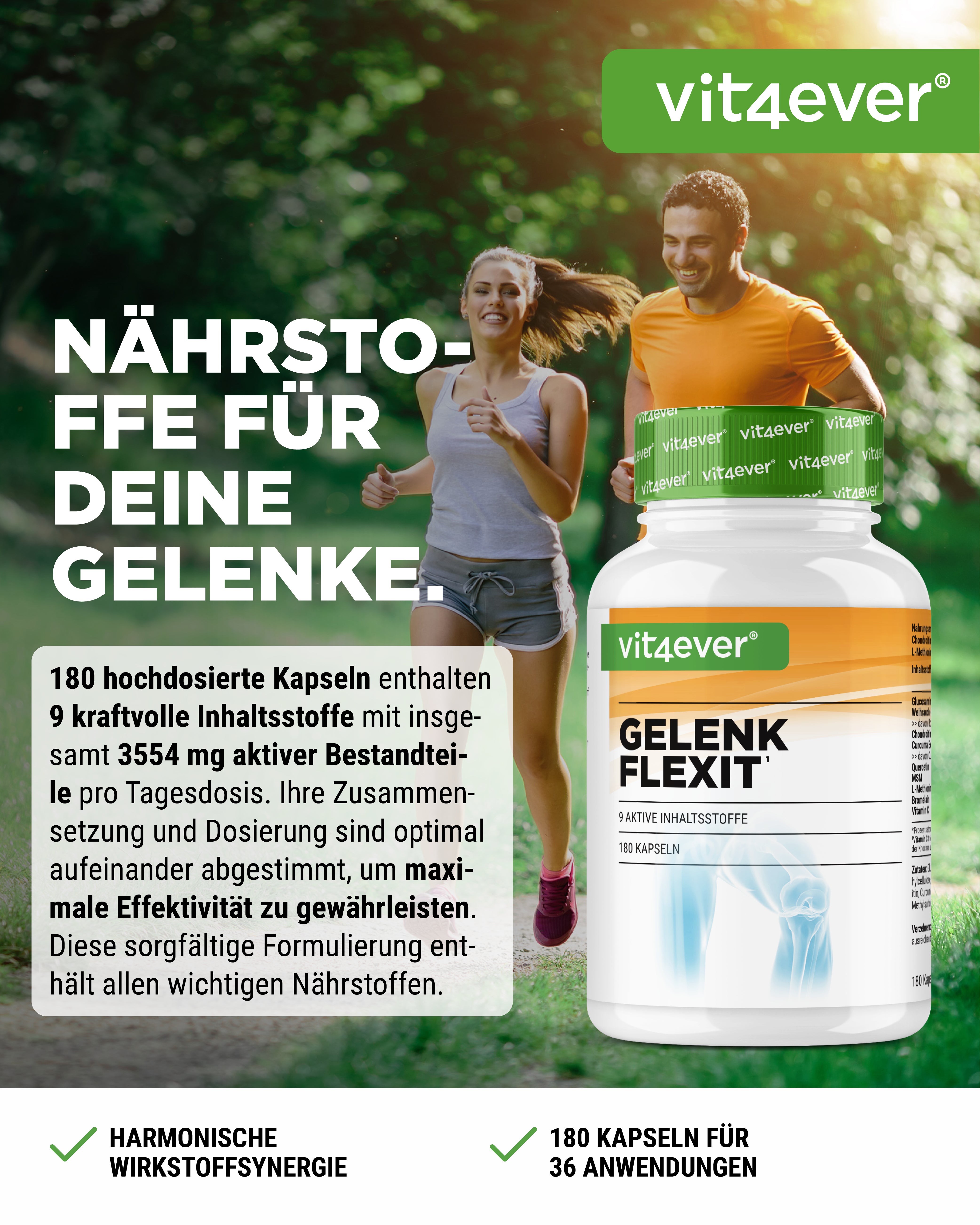 Gelenk Flexit - 9 principi attivi
