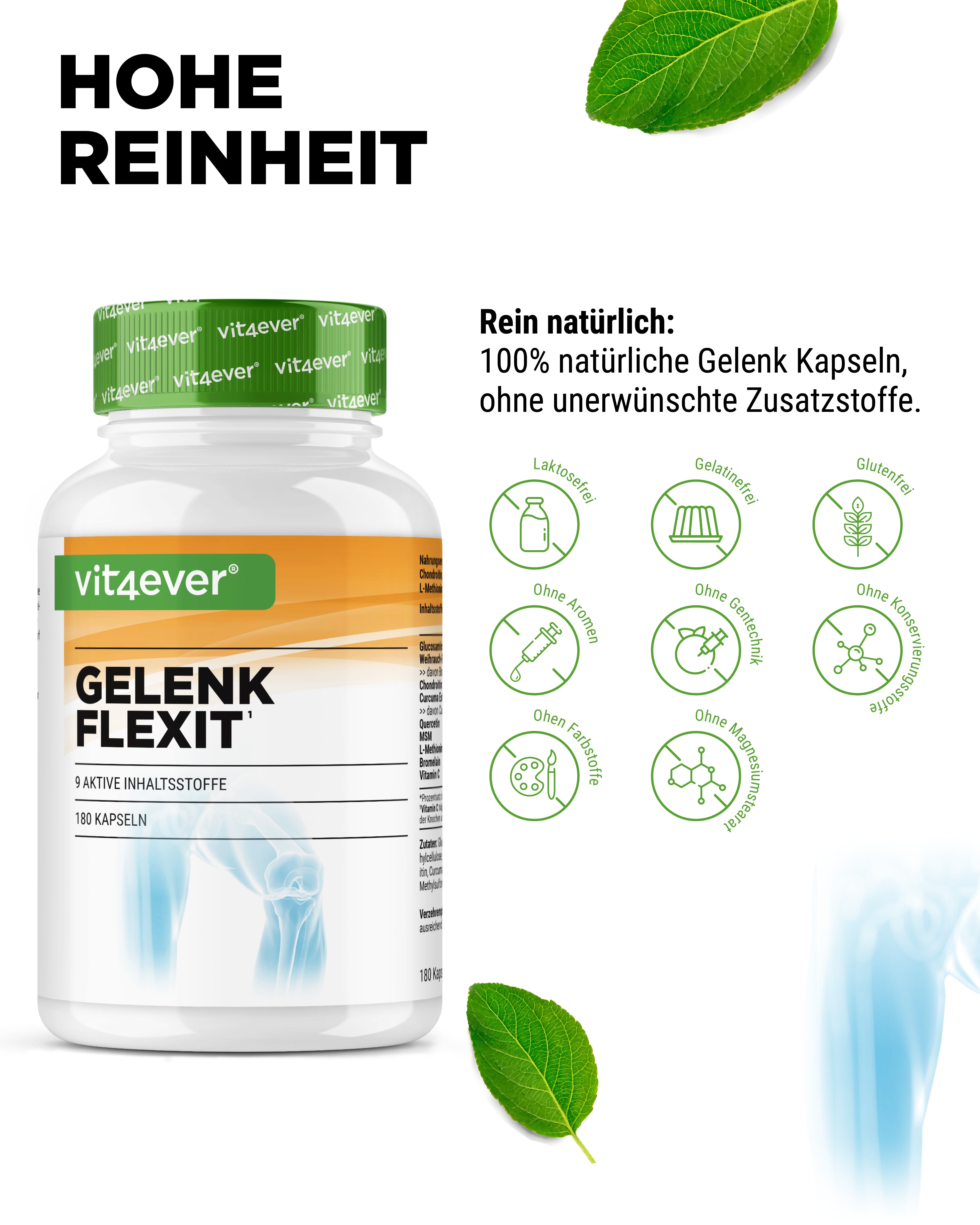 Gelenk Flexit - 9 principios activos