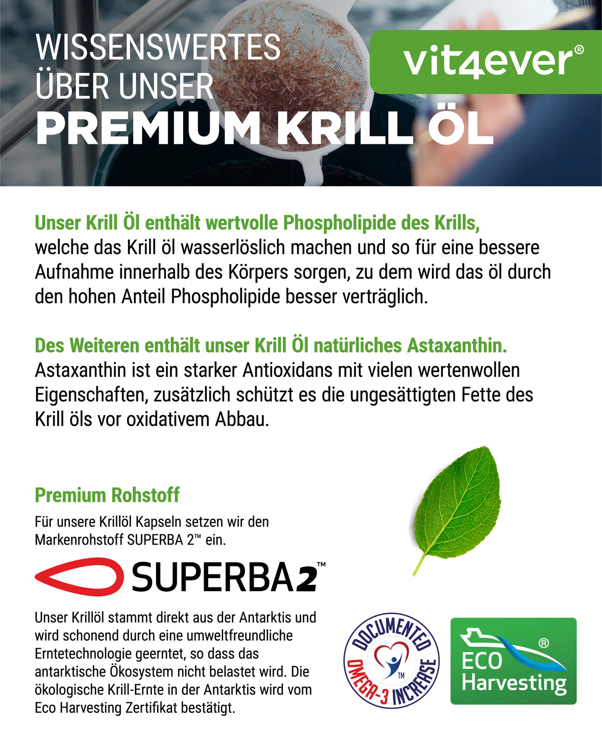 Aceite de krill - SUPERBA2