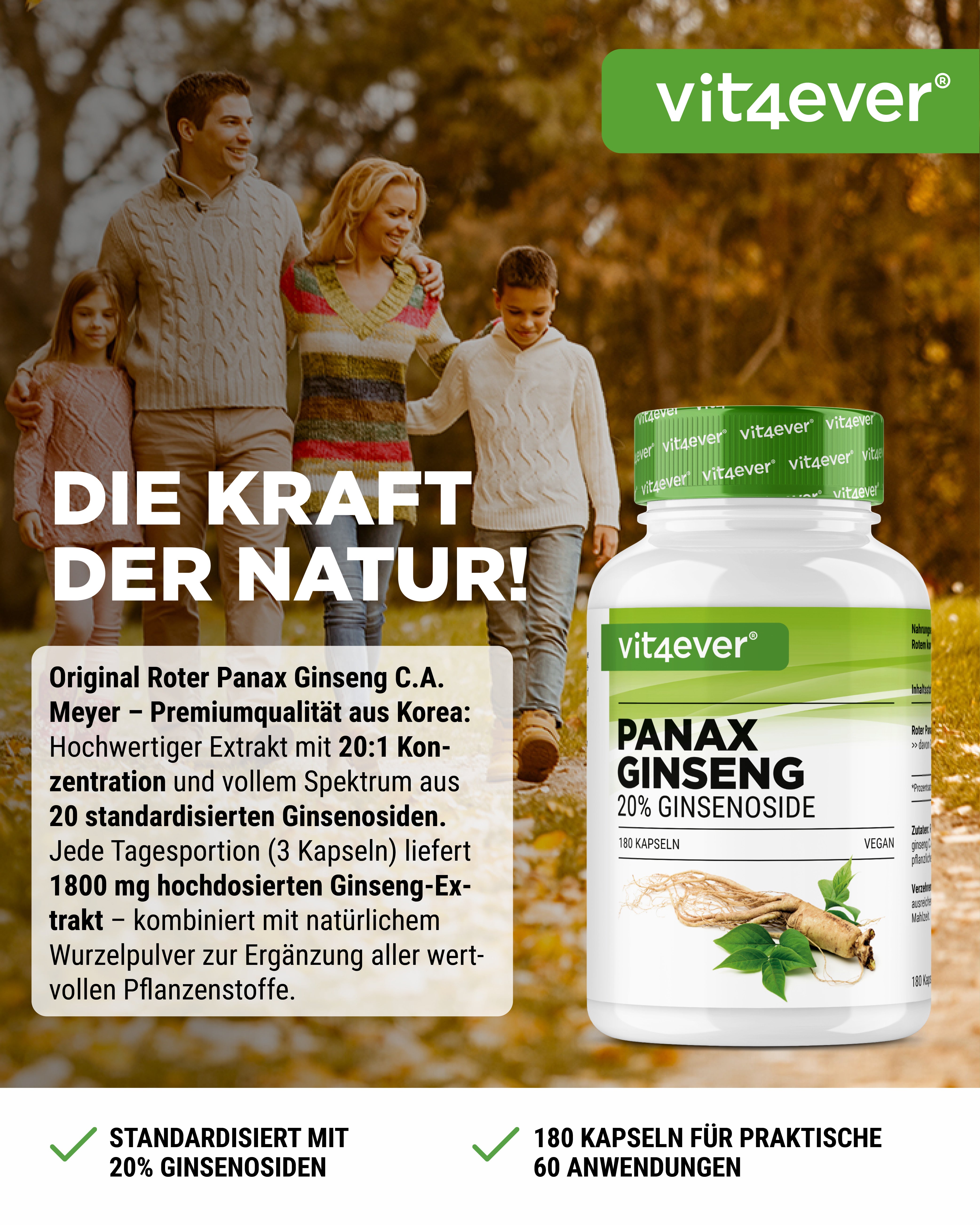 Ginseng rouge (Panax)